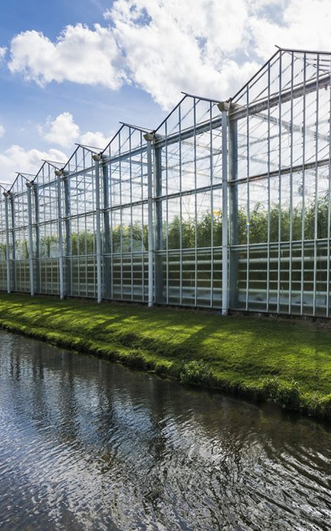 Agricultural Innovations